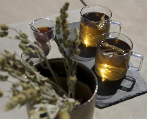 Fresh brewed Greek Mountain Tea