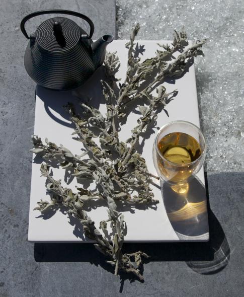 Fresh brewed Greek sage tea