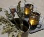 Fresh brewed Greek Mountain Tea